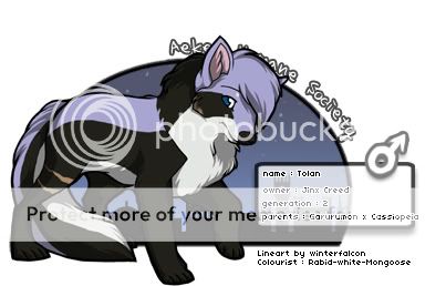 User Image